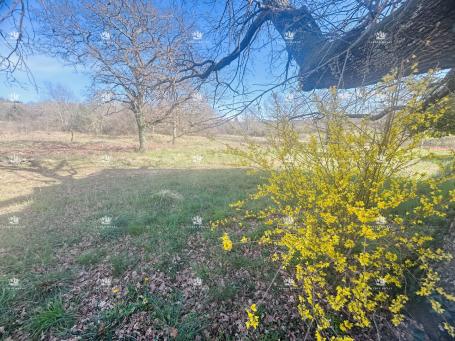 Istra, Savudrija, Crveni Vrh, parcelle constructible de 750m2