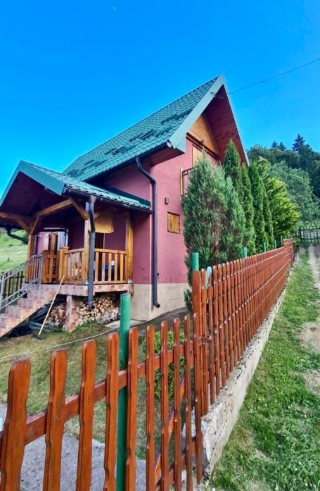 A house in Kolasin not far from the ski resort with a beautiful view