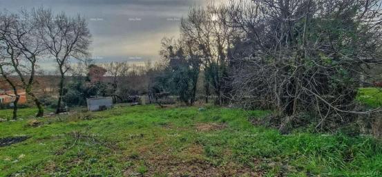 Bauland Nova Vas (Brtonigla) – Bauland 555 m²