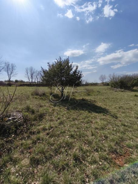 Poljoprivredna parcela 3550 m², Vodnjan