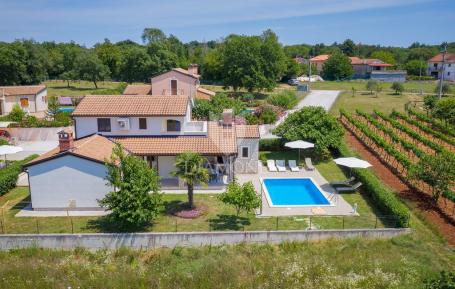 Poreč, okolica, villa s bazenom okružena zelenilom