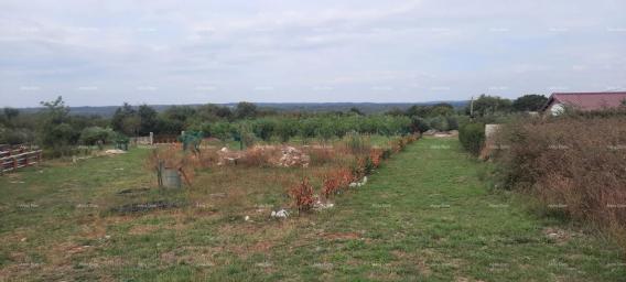 Bauland Marčana – Baugrundstück 1.200 m²