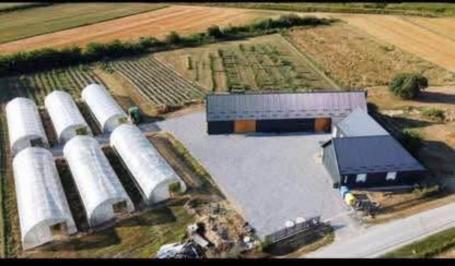 Investicijska prilika - imanje s velikim potencijalom