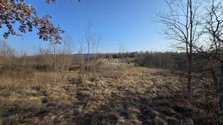 ISTRIA, ZAVRŠJE, BUILDING LAND, FOR SALE