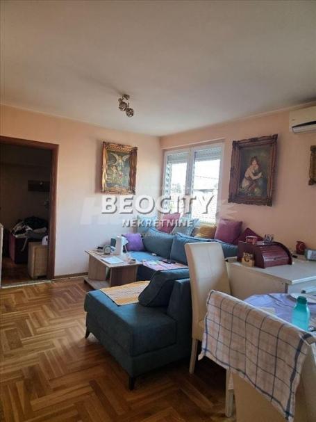 Zemun, Altina, Dobanovački put, 2.0, 46m2, 100000EUR
