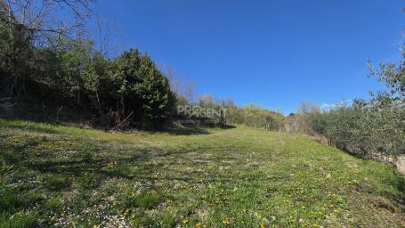 ISTRA, BUZET, SVETI DONAT, GRAĐEVINSKO ZEMLJIŠTE, PRODAJE SE