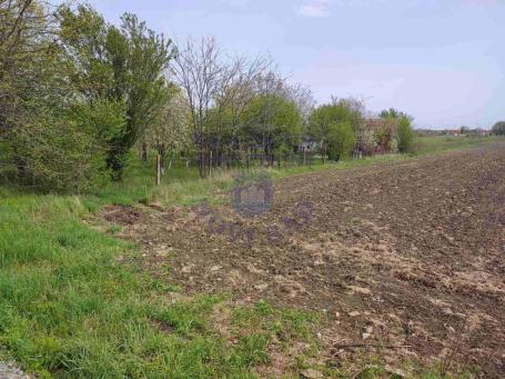 Plac, Klisa 5553m2