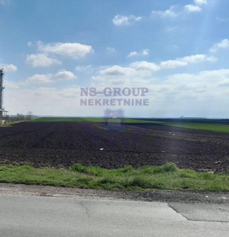 U ponudi građevinski plac od 5741m2 na izlazu iz Čuruga