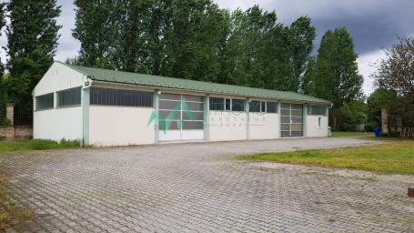 Izdavanje, Poslovni prostor, 320m2 , Novo Naselje