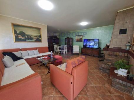 Odlična kuća u Stepanovićevu 221m2