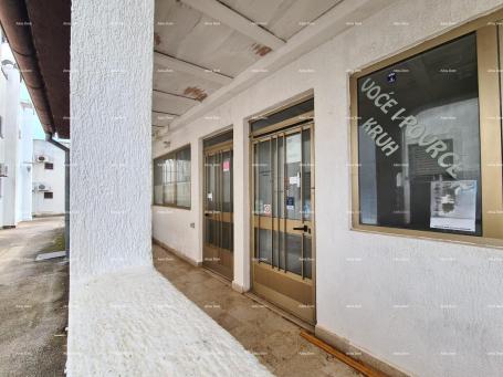 Stan APARTMAN U PRIZEMLJU ZGRADE