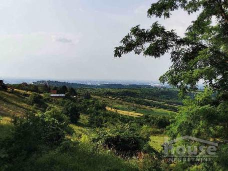 PETROVARADIN - ALIBEGOVAC - 13400.00 m2