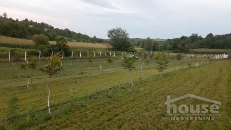 ČORTANOVCI - ČORTANOVCI - 9711.00 m2