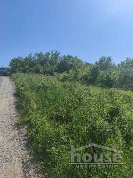 LEDINCI NOVI - VIKEND ZONA - 6250.00 m2