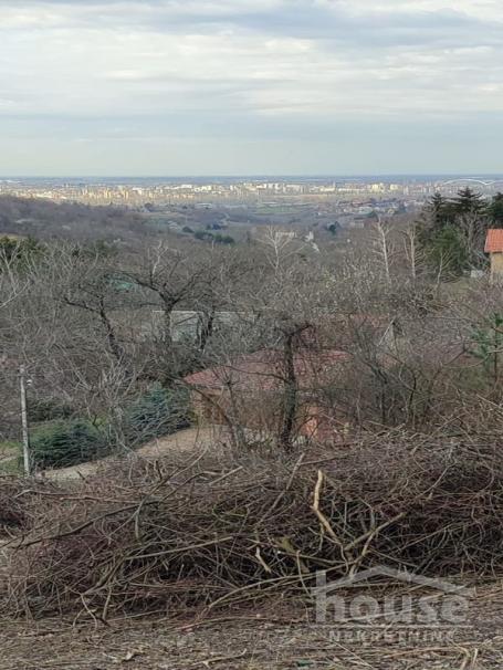 SREMSKA KAMENICA - ARTILJEVO - 814.00 m2