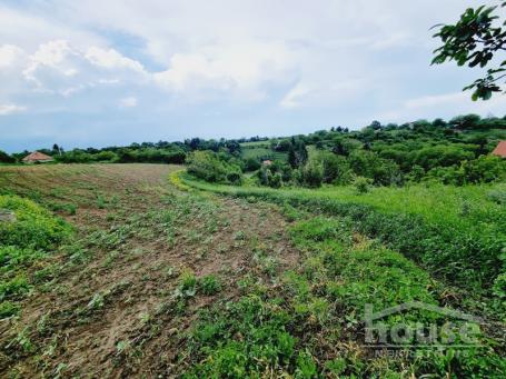 ČORTANOVCI - ČORTANOVCI - 8470.00 m2