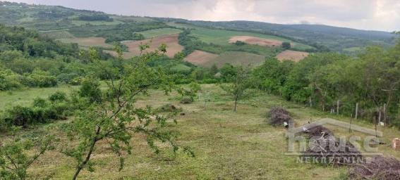 SREMSKI KARLOVCI - BANSTOL - 4200.00 m2