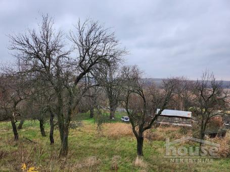 PETROVARADIN - KARLOVAČKI DRUM - 7000.00 m2