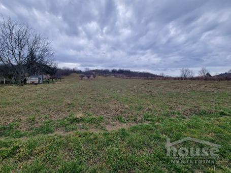 SREMSKA KAMENICA - LIVADE - 6820.00 m2