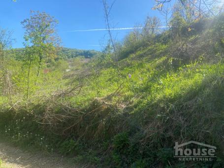RAKOVAC - DUMBOVO - 2175.00 m2
