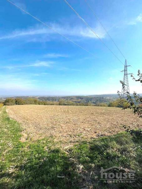 SREMSKI KARLOVCI - SREMSKI KARLOVCI - 12392.00 m2