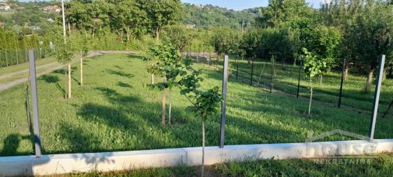 SREMSKA KAMENICA - PARAGOVO - 427.00 m2