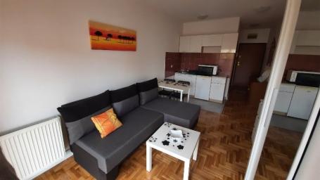NOVI SAD - DETELINARA - 24.00 m2