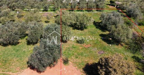 Buje - Kaštel -građevinsko zemljište 1250 m2, PRILIKA