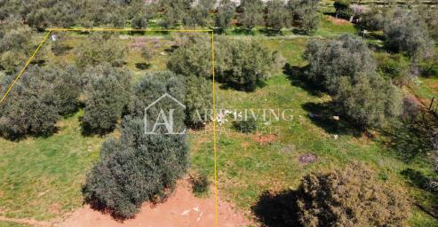 Buje - Kaštel - PRILIKA, građevinsko zemljište 1200 m2