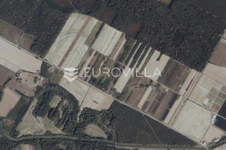 Petrijevci, prodaja poljoprivrednog zemljišta s nasadima krušaka, površine 36.028 m²