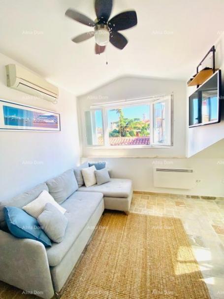 Wohnung Novigrad, Wohnung 47 m2