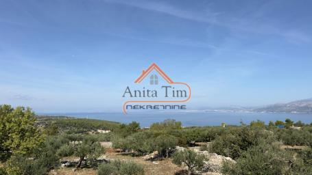 POSTIRA - KUĆA I MASLINIK  11.000 M2