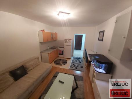 NOVA DETELINARA IZDAJE SE NAMEŠTENA GARSONJERA