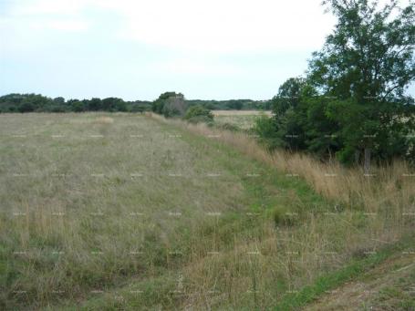 Poljoprivredno zemljište Jadreški, Prodaje se poljoprivredno zemljište, površine 21.870 m²