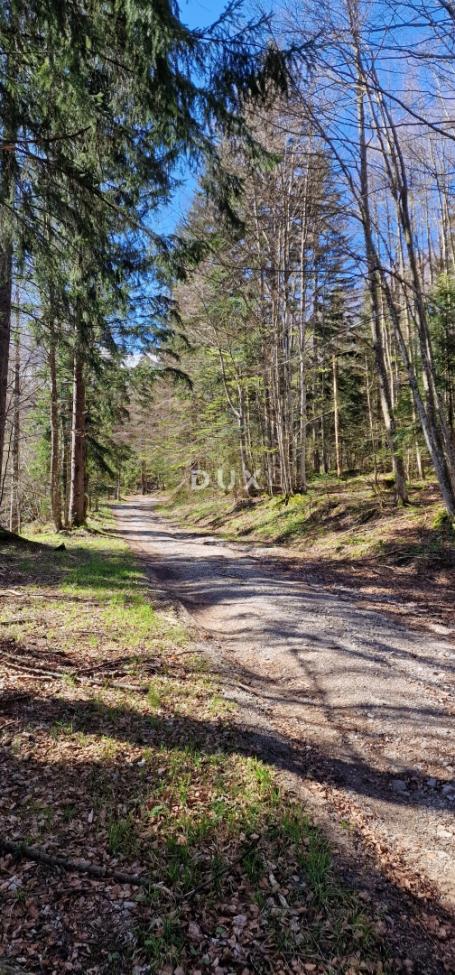 DELNICE, RAVNA GORA - zemljišta ukupne površine 13400 m2