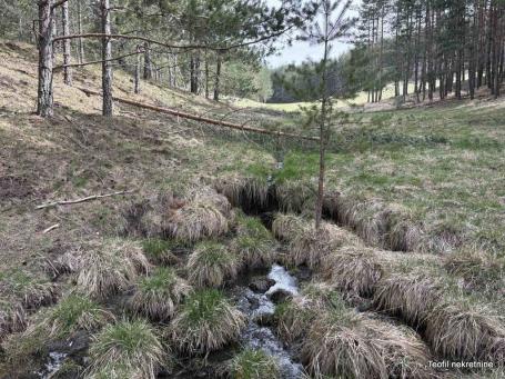 ZLATIBOR ZLATIBOR 6600m2 , 35000e