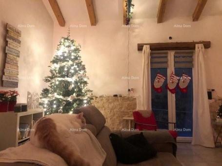 Kuća Kamena vila s dodatnim apartmanom i konobom , Sveti Lovreč