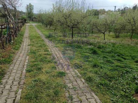 Plac u Sremskoj Kamenici, 1503m2