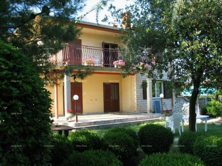 Kuća Kuća s tri stana i velikim zemljištem okružena vinogradima i maslinicima