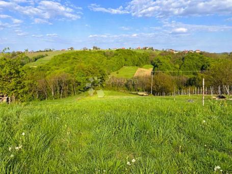 Zemljište na lijepoj lokaciji, mir i priroda - Banfi