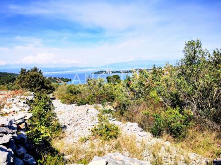 Šolta, Nečujam - maslinik sa 240 stabala, 8200 m2, PRODAJA