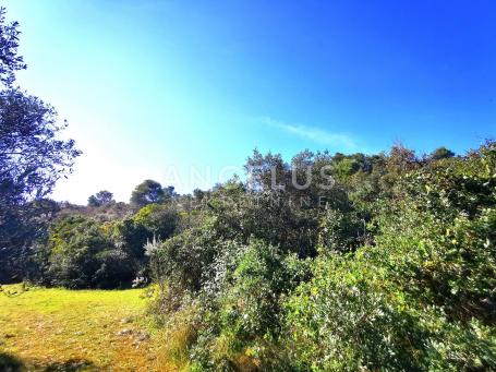 Šolta, Nečujam - poljoprivredno zemljište sa pogledom, 13000 m2, PRODAJA