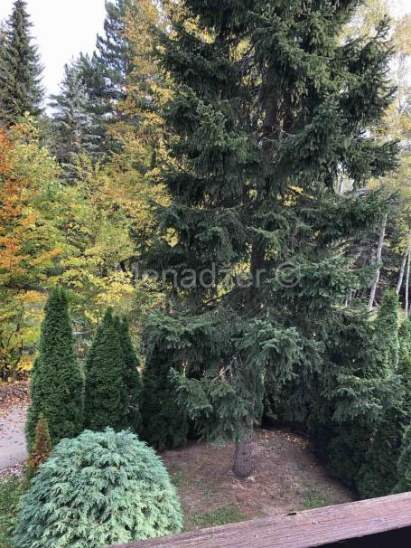 Zlatibor, centar - Palisad, 2.0 47m2, 1/2, terasa, uknj. 