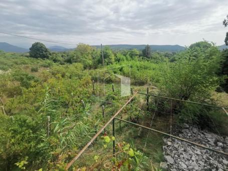 Plac, 3500m2, Daljam, Danilovgrad