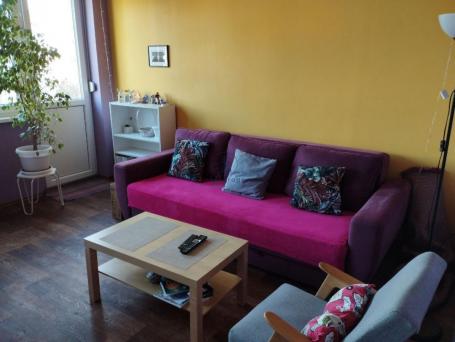 Studentski Trg, pet-friendly, Gospodar Jevremova, 50 m2