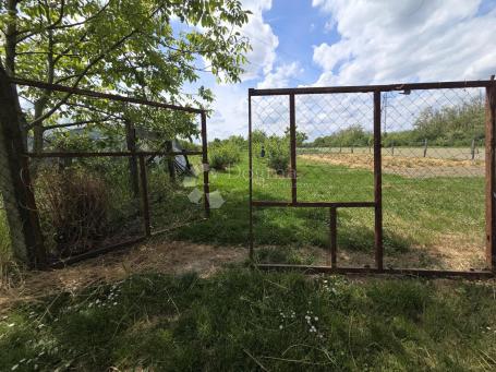 Održavan voćnjak s bunarom – 6.494 m²