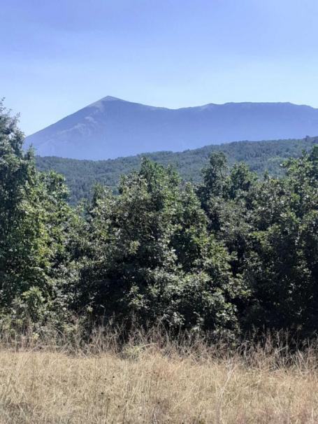 Rtanj 47 hektara u komadu, retko u ponudi