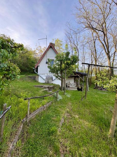 Oaza mira i privatnosti – vikendica s vinogradom i 3.797 m² okućnice