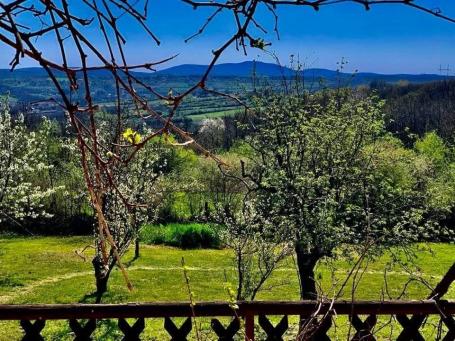 Luksuzno opremljena kuća u Baćevcu - oaza mira nadomak Beograda. Preporuka! 