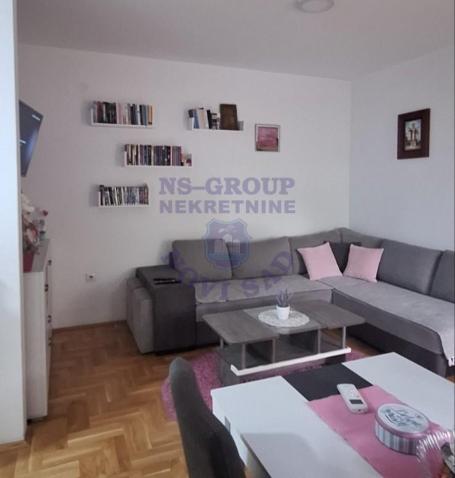 Dvoiposoban stan na Novoj Detelinari, 50m2